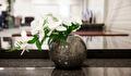 Bloemen in pot